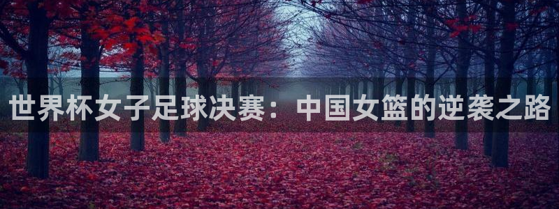 世界杯2026预选赛:世界杯女子足球决赛:中国女篮的逆袭之路