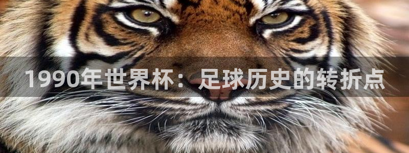 今年世界杯:1990年世界杯:足球历史的转折点