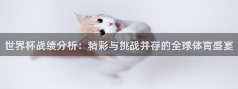 2026世界杯赛程时间表最新:世界杯战绩分析:精彩与挑战并存的全球体育盛宴