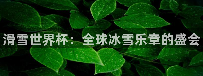 2026世界杯32强对阵图表:滑雪世界杯:全球冰雪乐章的盛会