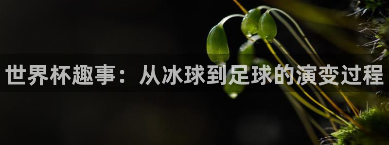 2026足球世界杯:世界杯趣事:从冰球到足球的演变过程