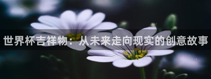 世界杯2026赛制:世界杯吉祥物:从未来走向现实的创意故事
