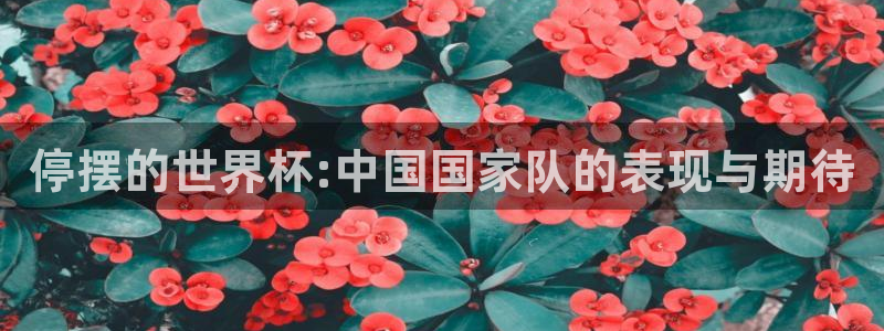 2026足球世界杯赛程时间表:停摆的世界杯:中国国家队的表现与期待