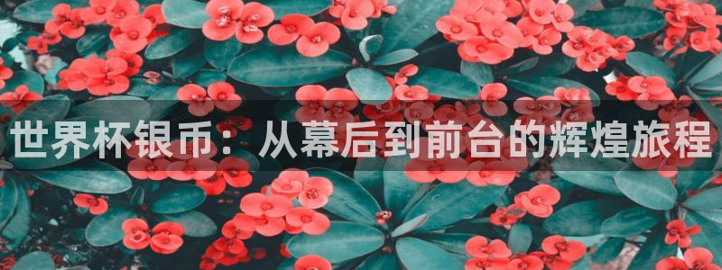 世界杯决赛直播:世界杯银币:从幕后到前台的辉煌旅程